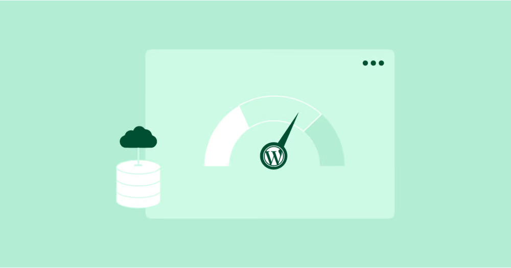 图片[7]-361Sale WordPress Care
